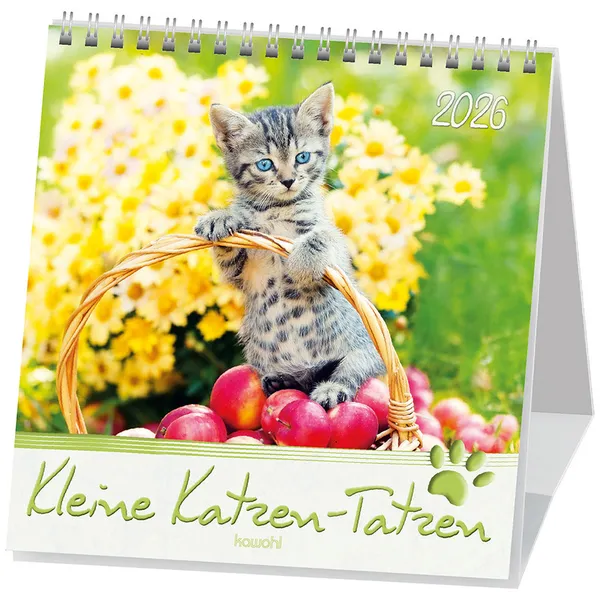 Produktbild des Artikels Kleine Katzen-Tatzen 2026 - Postkartenkalender (Kalender - Spiralbindung)