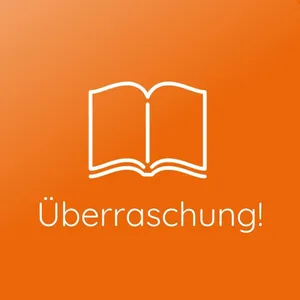 Produktbild des Artikels Überraschungspaket "Romane" (Buch)