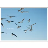 Stimmungsbild zu Postkartenset "GLÜCK:WUNSCH"