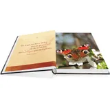 Stimmungsbild zu Du schenkst mir Mut zum Leben!