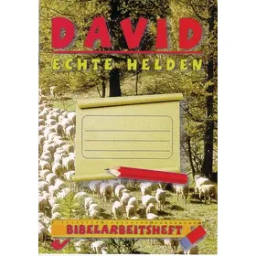 Produktbild des Artikels David - echte Helden (Buch - Geheftet)