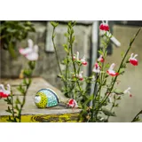 Stimmungsbild zu Postkartenbuch "Sei bunt, sei wild, sei wunderbar!"
