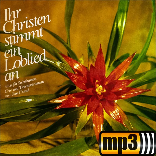 Produktbild des Artikels Seht am Kreuz den Gottessohn (MP3-Track - Download)