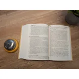 Stimmungsbild zu Neues Leben. Die Bibel, große Schrift, Kunstleder