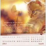 Stimmungsbild zu Kleine Katzen-Tatzen 2026 - Postkartenkalender