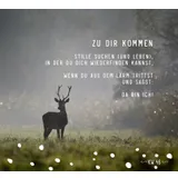Stimmungsbild zu Der Wald lädt uns mit Hoffnung auf – Aufstellbuch