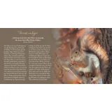 Stimmungsbild zu Wundervolle Schöpfung Gottes