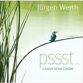Produktbild des Artikels pssst ... Lauter leise Lieder (MP3-Album - Download)