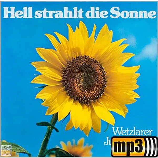 Produktbild des Artikels Wenn ich alle Sprachen dieser Welt (MP3-Track - Download)