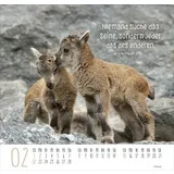 Stimmungsbild zu Beste Freunde 2026 - Posterkalender