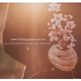 Stimmungsbild zu Für alles gibt es eine Zeit