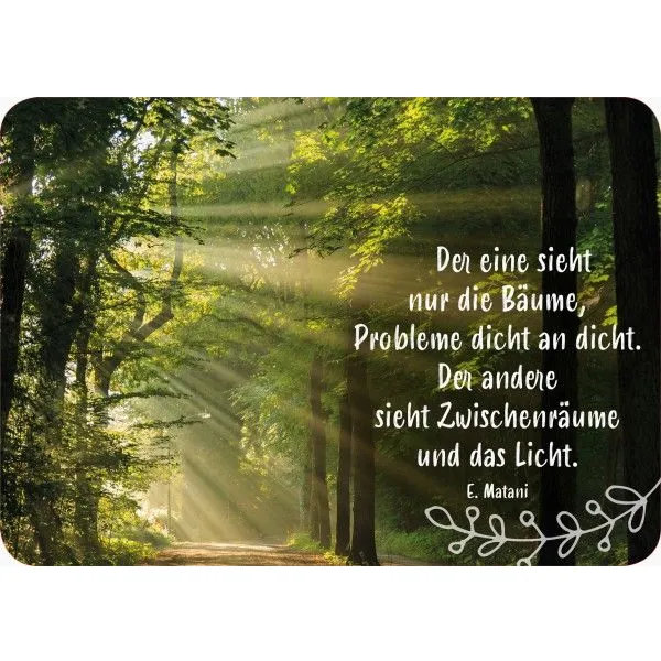 Produktbild des Artikels Postkarte - Der eine sieht nur die Bäume, ... (Schreibwaren)