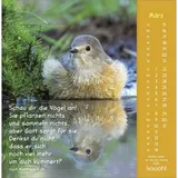 Stimmungsbild zu Gottes Liebe ist wie die Sonne 2026 - Postkartenkalender