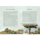 Stimmungsbild zu Die Bibel. 365 Geschichten