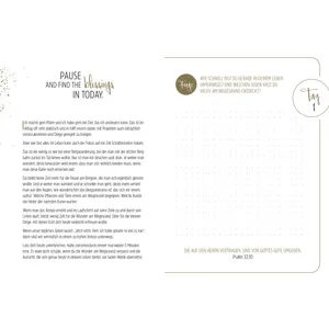 Produktbild des Artikels 100 Tage Grace & Hope (Buch - Gebunden)