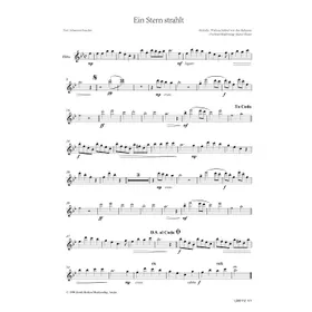 Produktbild des Artikels Ein Stern strahlt (Flöte) (Noten - Download)