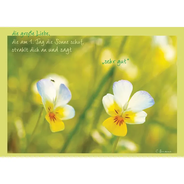 Produktbild des Artikels Postkarte "die große Liebe, die am 1. Tag die Sonne schuf..." - 5 Stück (Schreibwaren)