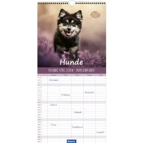 Produktbild des Artikels Familienplaner Hunde 2027 (Kalender - Spiralbindung)