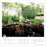 Stimmungsbild zu Kleine Auszeit im Grünen 2026 - Postkartenkalender