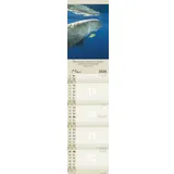 Stimmungsbild zu Für Euch 2026 - Terminkalender