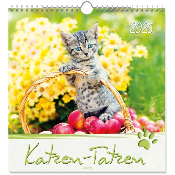 Produktbild des Artikels Katzen-Tatzen 2026 - Wandkalender (Kalender - Spiralbindung)