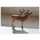 Stimmungsbild zu Postkartenbuch "FEIER:TAG"