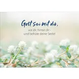 Stimmungsbild zu Lauter gute Wünsche - Postkartenset