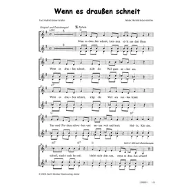 Produktbild des Artikels Wenn es draußen schneit (Noten - Download)