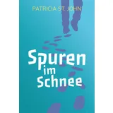 Stimmungsbild zu Spuren im Schnee