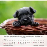 Stimmungsbild zu Hunde 2026 - Tischkalender