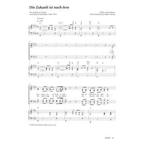 Produktbild des Artikels Die Zukunft ist noch fern (Noten - Download)