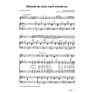 Produktbild des Artikels Nimmst Du mich noch einmal an (Noten - Download)