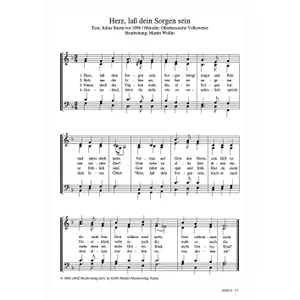 Produktbild des Artikels Herz, lass dein Sorgen sein (Noten - Download)