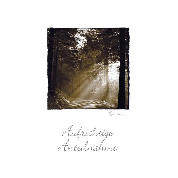 Produktbild des Artikels Faltkarte "Aufrichtige Anteilnahme" - 5 Stück (Schreibwaren)