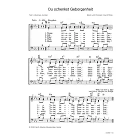 Produktbild des Artikels Du schenkst Geborgenheit (Noten - Download)