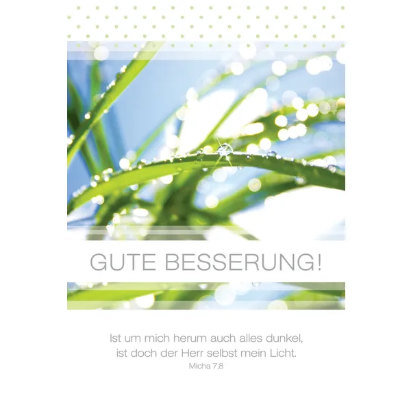 Produktbild des Artikels Faltkarte "Gute Besserung" Grashalm mit Tropfen - 5 Stück (Schreibwaren)