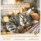 Stimmungsbild zu Katzen-Tatzen 2026 - Wandkalender