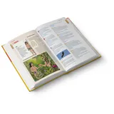 Stimmungsbild zu Mein Bibellexikon