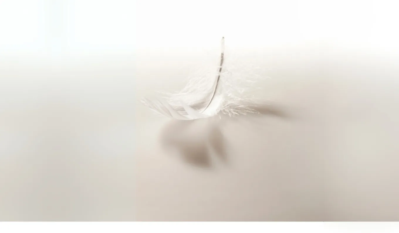 Banner - Hochsensibilität