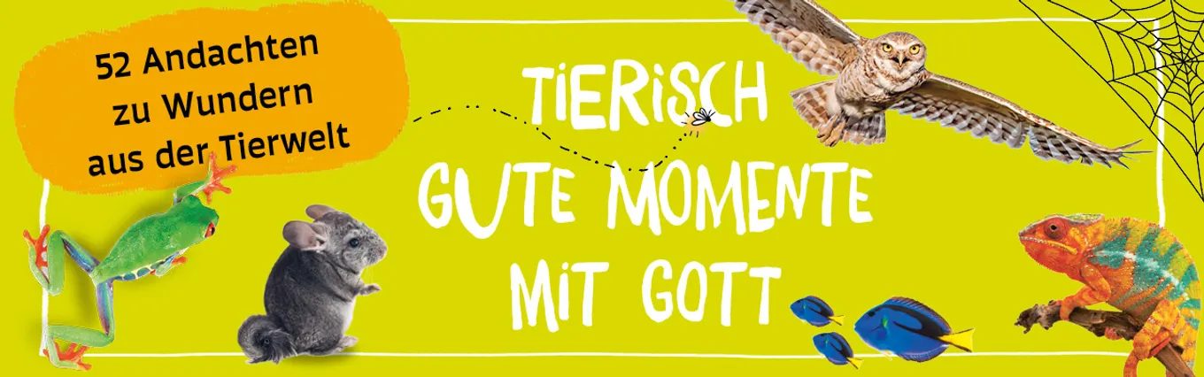 Banner zu Tierisch gute Momente mit Gott