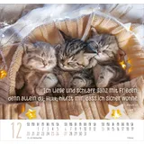 Stimmungsbild zu Beste Freunde 2026 - Posterkalender