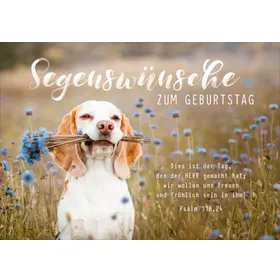 Produktbild des Artikels Faltkarte "Segenswünsche zum Geburtstag" - Hund (Schreibwaren)