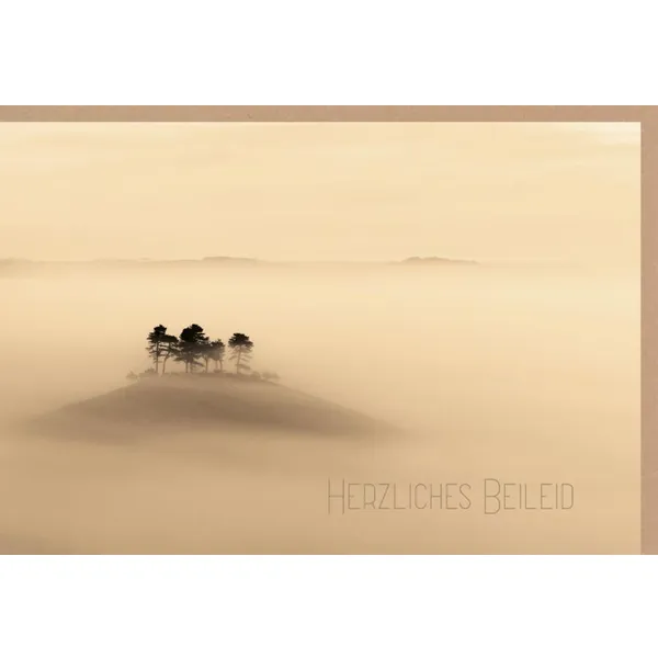 Produktbild des Artikels Faltkarte "Herzliches Beileid" (Schreibwaren)