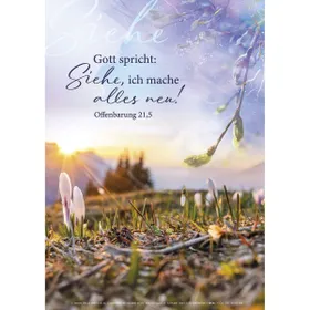 Produktbild des Artikels Jahreslosung 2026 - Poster A3 Idea Edition ()