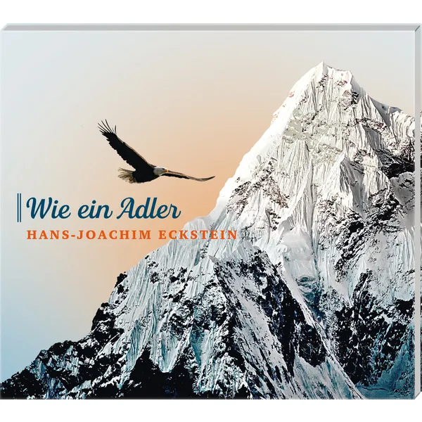 Produktbild des Artikels Wie ein Adler (Audio - CD)
