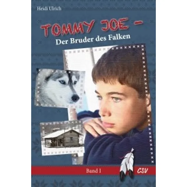 Produktbild des Artikels Tommy Joe - Der Bruder des Falken (1) (Buch - Paperback)
