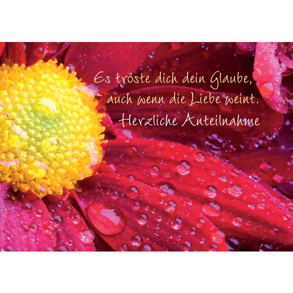 Produktbild des Artikels Faltkarte "Herzliche Anteilnahme! - Es tröste dich dein Glaube ..." - 5 Stück (Schreibwaren)