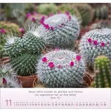 Stimmungsbild zu Blumen-Impressionen 2026 - Wandkalender