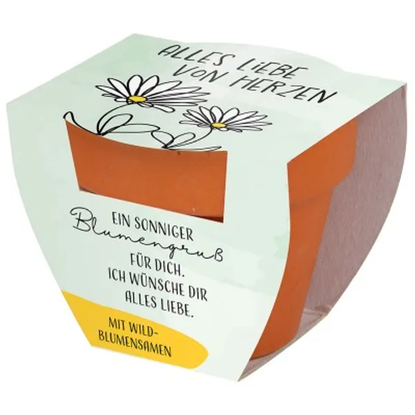 Produktbild des Artikels Blumenüberraschung "Alles Liebe von Herzen" ()
