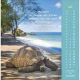 Stimmungsbild zu Gottes Liebe ist wie die Sonne 2026 - Postkartenkalender